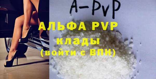 прущие грибы Арсеньев