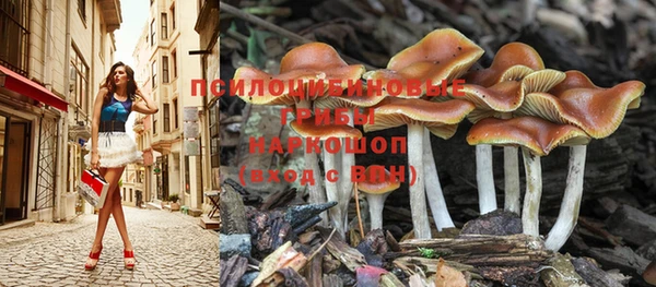 мет Аркадак