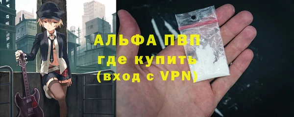 прущие грибы Арсеньев