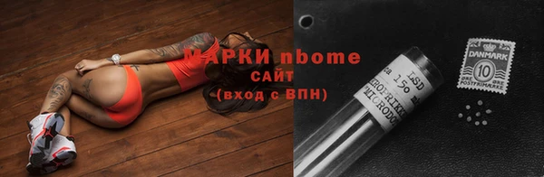 прущие грибы Арсеньев