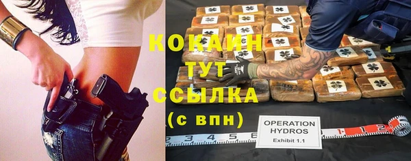 прущие грибы Арсеньев