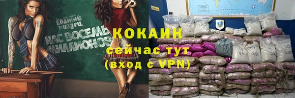 прущие грибы Арсеньев
