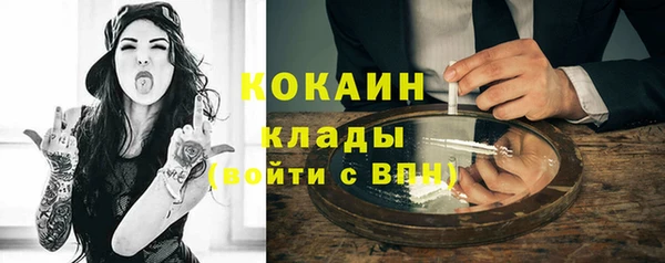 прущие грибы Арсеньев