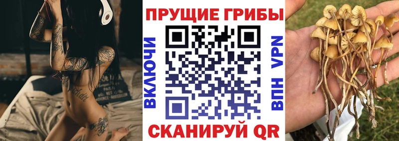 Галлюциногенные грибы Magic Shrooms Высоковск